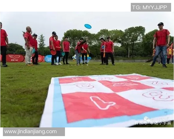 飞盘运动新风潮北京飞盘队引领意识革命排名前十