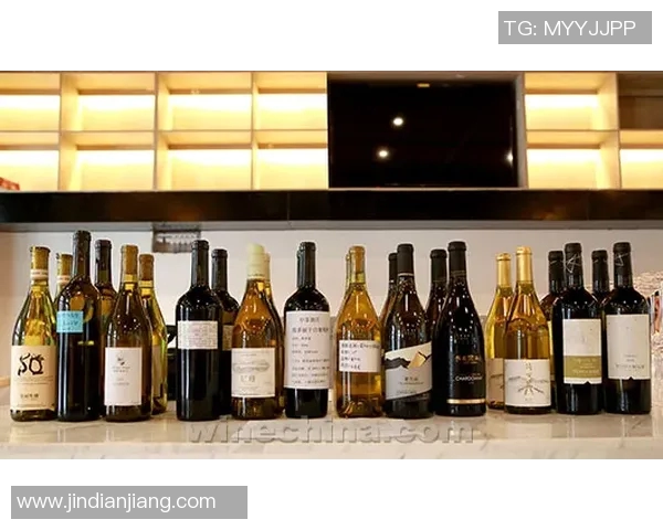 俞长栋：从历史到现代的文化传承与创新之路探讨