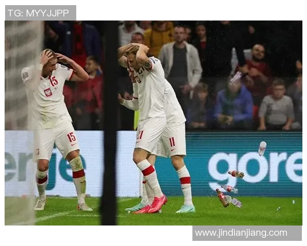 俄罗斯与波兰足球比赛精彩直播视频全程回放与分析