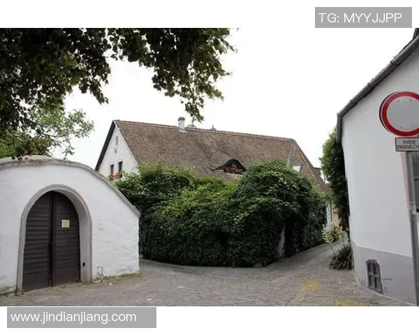 圣安德烈与庞特普的精彩对决揭示足球战术与团队精神的较量