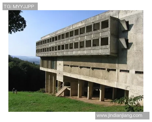 尼古拉武切维奇的艺术旅程与对现代文化的影响探讨