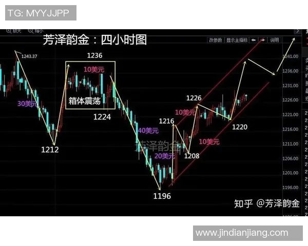 冈山对阵东京精彩赛事直播全程回顾与分析